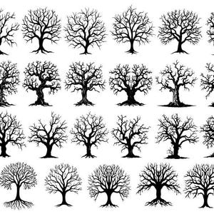 Boom Svg, levensboom Svg, boom bundel Svg, boom Clipart, boom Vector, kale boom Svg, boom gesneden bestanden voor Cricut