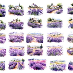 Pacchetto Clipart di Lavanda, Clipart di Lavanda Acquerello, Paesaggio di Lavanda Acquerello in formato PNG, Campo di Lavanda in formato PNG