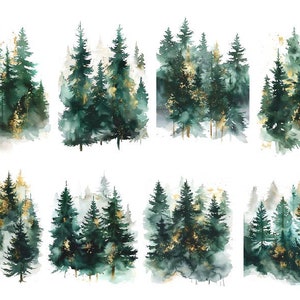 Foresta di pini ad acquerello, paesaggi forestali ad acquerello, clipart di alberi della foresta, png di alberi di pino