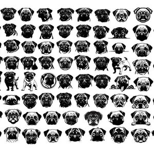 Bundle carlin SVG, clipart chien carlin, Svg tête de Carlin, Svg de chien furtivement, fichiers carlin pour Cricut, Svg pour amoureux des chiens
