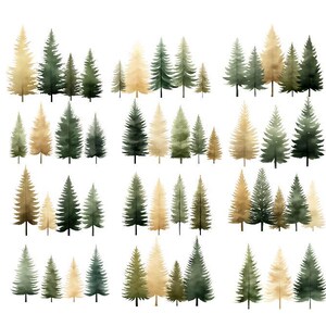 Op de afbeelding: Waterverfillustraties van verschillende groenblijvende bomen in tinten groen, goud en bruin. De bomen zijn in groepen gerangschikt, waardoor een bosachtige scène ontstaat. Het kunstwerk staat op een witte achtergrond.