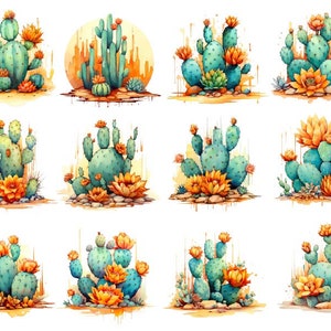 Clipart di cactus del deserto ad acquerello, cactus ad acquerello png, cactus, succulente, selvaggio West, floreale messicano, cactus del deserto png