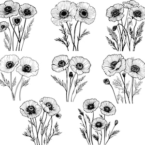 Pacote Poppy Svg, Flores de Poppy Svg, Clipart de Poppy, Arquivos de Corte de Poppy para Cricut, Flores Silvestres Svg