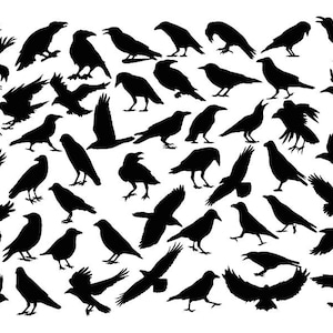 CROW SVG, Raven Svg, Svg oiseau, Crow Silhouettes, Dark Crow Svg, Crow Cricut, Crow Clipart, Raven Clipart