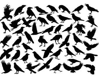 CROW SVG , Raven Svg , Bird Svg, Crow Silhouettes, Dark Crow Svg , Crow Cricut , Crow Clipart , Raven Clipart