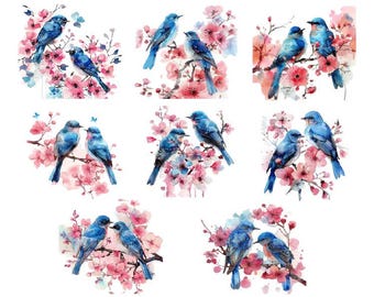 Watercolor Floral Bird, Floral Bird Clipart, Bird Clipart, Colorful Watercolor Birds, Bird Sublimation