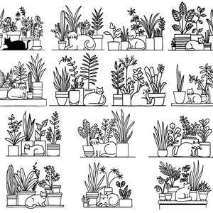 Gatos con plantas (Svg), gatos y cactus (Svg), gatos y plantas (Svg), clipart de gatos, plantas de interior (Svg), gatos (Cricut)
