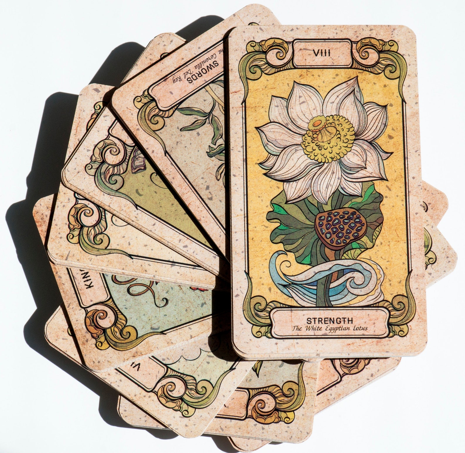 Botanica Oculta Tarot decks 78 Tarot deck card Tarot deck Etsy