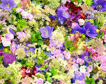 Cut Flower Wildflower Mix Flower Garden Wild Flower Seeds - approx. 500 Seeds