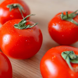 Tomato Moneymaker Vegetable Salad Seeds - &#39;Solanum lycopersicum&#39; - 35 Seeds