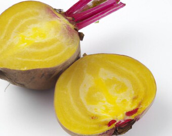 Golden Beetroot 'Beta Vulgaris' Vegetable Salad Seeds - Approximately 60 Organic seeds