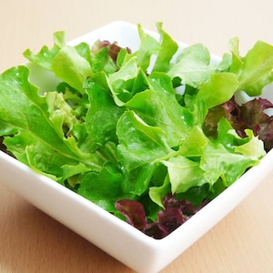 Lettuce (French Salad Leaves Mixed) 730 seeds - Quick Easy Growing Baby Salad Leaves Organic Vegetable Seeds