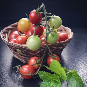 Garden Pearl Tomato Vegetable Fruit Seeds - 60 Organic Seeds