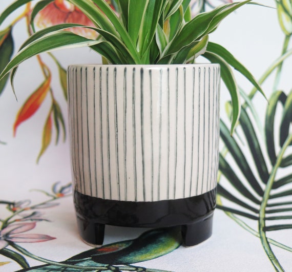 aquatic plant pots Aquarium Plant Pot Holder with Suction Cup  3D Aquatic Solutions