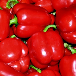 Red Peppers Beauty Bell F1 Vegetable Salad Plant Seeds - 8 Organic Pepper Seeds