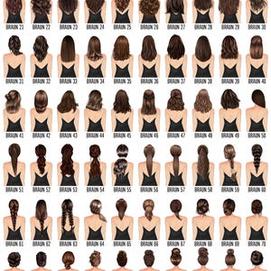 May include: A chart of 100 different hairstyles for women, all with brown hair. The hairstyles are numbered from 1 to 100. The chart is titled "BRAUN".