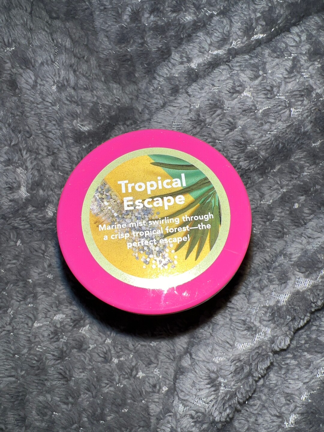 Pink Zebra Tropical Escape Etsy
