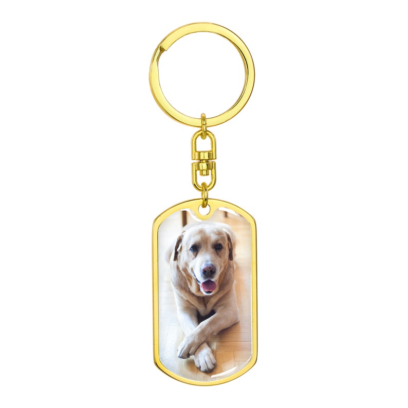 Rainbow Bridge Dog Memorial Pet Grief Jewelry Pet Bereavement Dog Loss Cat Loss Gift Pet Memorial Pet Remembrance
