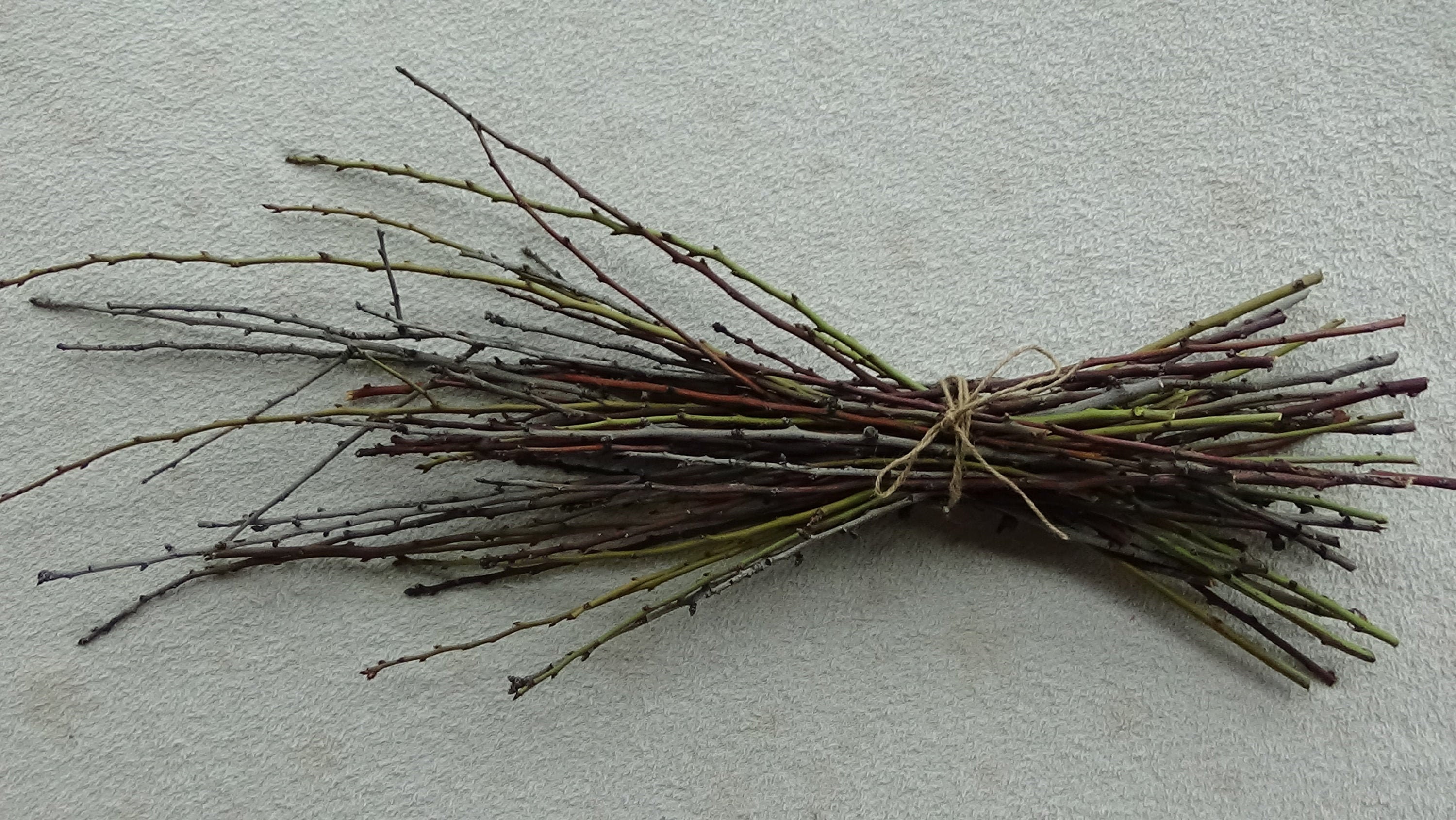 80 Almond Twigs, Branches Assorted Sizes for Raw Natural Crafts ...