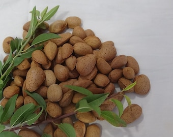 Nueces de almendra orgánicas para el cultivo y consumo de almendros