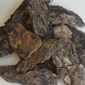 9 Set Natural Aleppo Pine Bark, Foraged