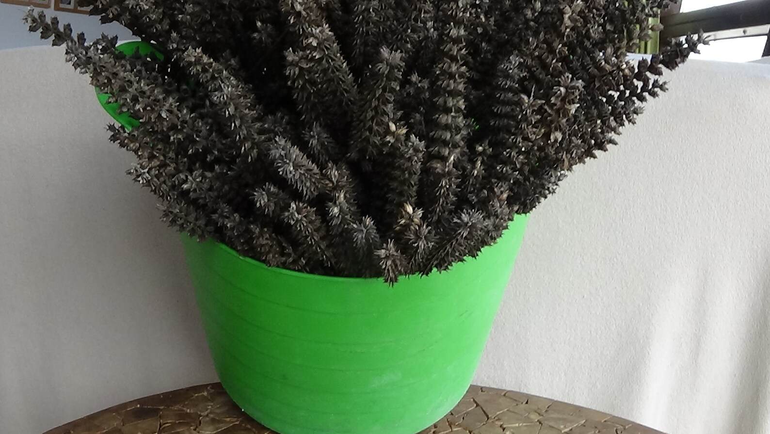 15 Dark Brown Dried Wild Flower Stems for Bouquets Home Etsy