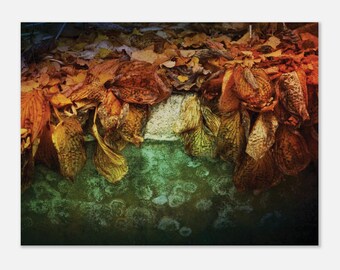 Autumn Leaves Wall Art – Nordic Nature Photography Print, Scandinavian Home Decor