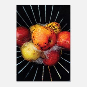 Mele congelate / Stampa artistica di una fotografia originale di EM Kristiansen / Stampata su carta semilucida di alta qualità per un'arte murale duratura