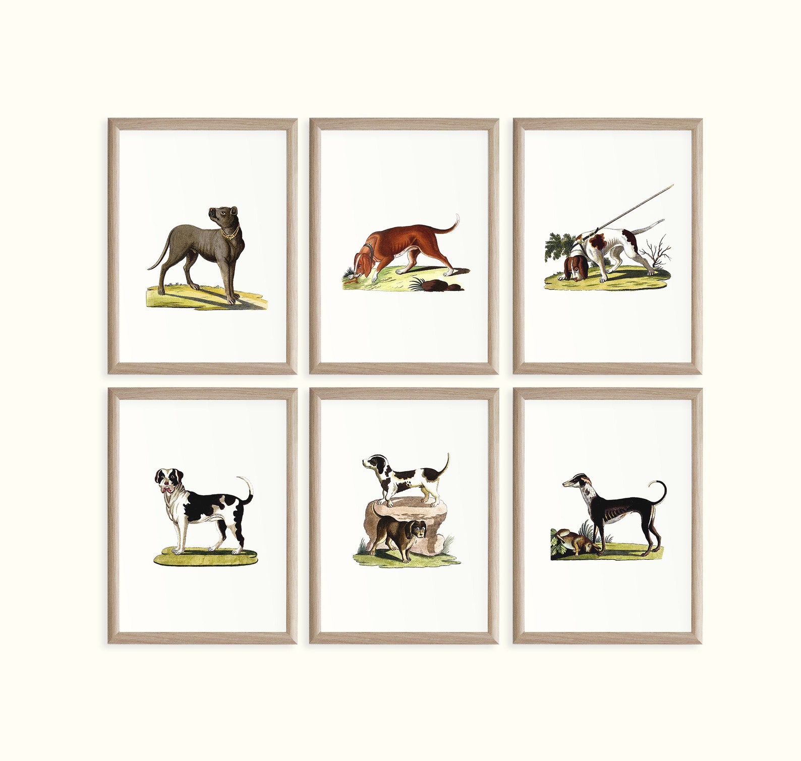 Vintage Dog Art Print set of 6 Dog Poster Dog breeds chart Etsy