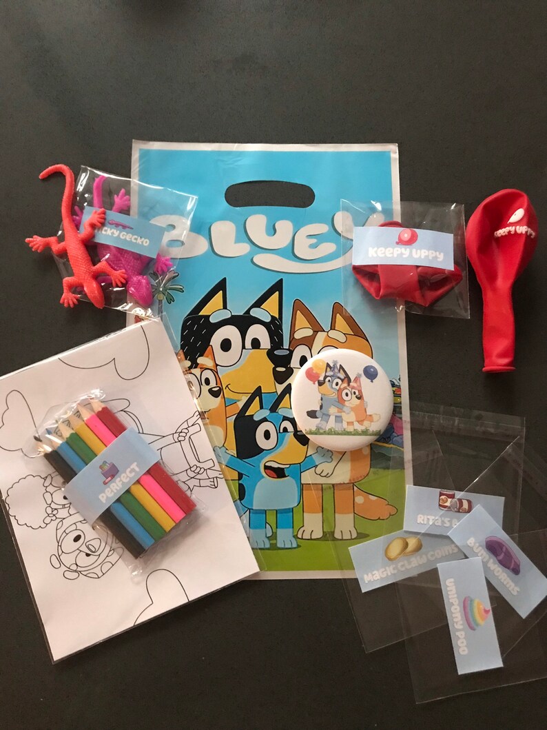 Bluey Inspired Party Bag and Party Favours Etsy