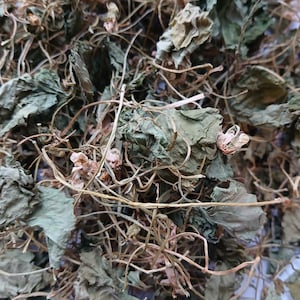 Violet flower leaf tea leaves dry dried organic health women detox viola sororia