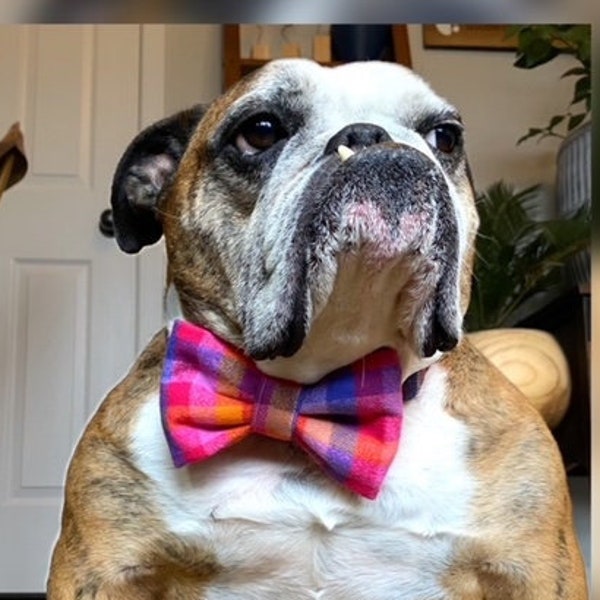 Bright Multi Color Plaid Pet Collar Bow/Dog Gift/Cat Gift/Dog Bow Tie/Cat Bow Tie/Gift Idea/Pets/Plaid