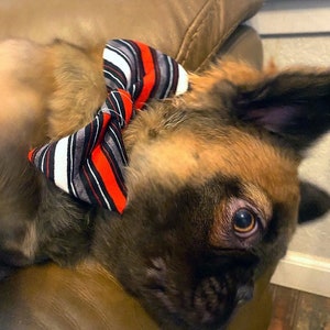 Bold Stripes Pet Collar Bow/Dog Gift/Cat Gift/Dog Bow Tie/Cat Bow Tie/Holiday/Holiday Gift/Pets/Stripes
