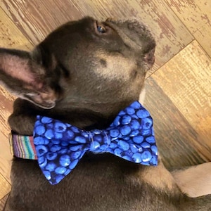 Blueberry Pet Collar Bow/Dog Gift/Cat Gift/Dog Bow Tie/Cat Bow Tie/Gift/Pets/Fruit