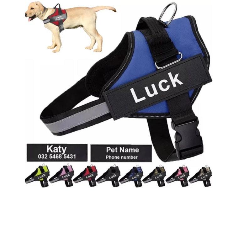 no pull dog harness canada