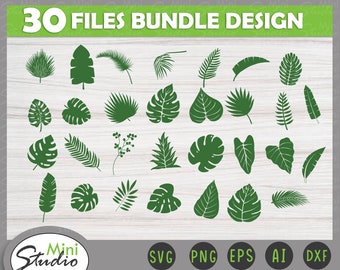 Download Monstera Svg Etsy