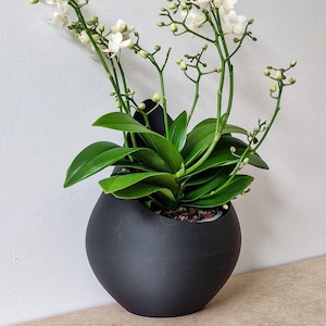 Może przedstawiać: Biała orchidea z zielonymi liśćmi w czarnej ceramicznej doniczce. Doniczka ma kształt łzy i szeroki otwór u góry.
