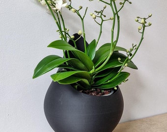 Corner planter, Lightweight teardrop planter, Wall mounted plant pot basket, Modern Design planter, Hanging succulent round drop