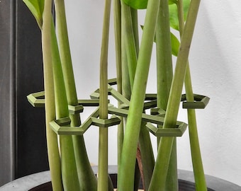 Stem support for long stem plants