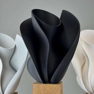 3D Gedruckte Blumenvase Moderne Wohnkultur Abstraktes skulpturales Design Vase Einzigartiges Herzstück für Interior Styling und Blumenarrangements