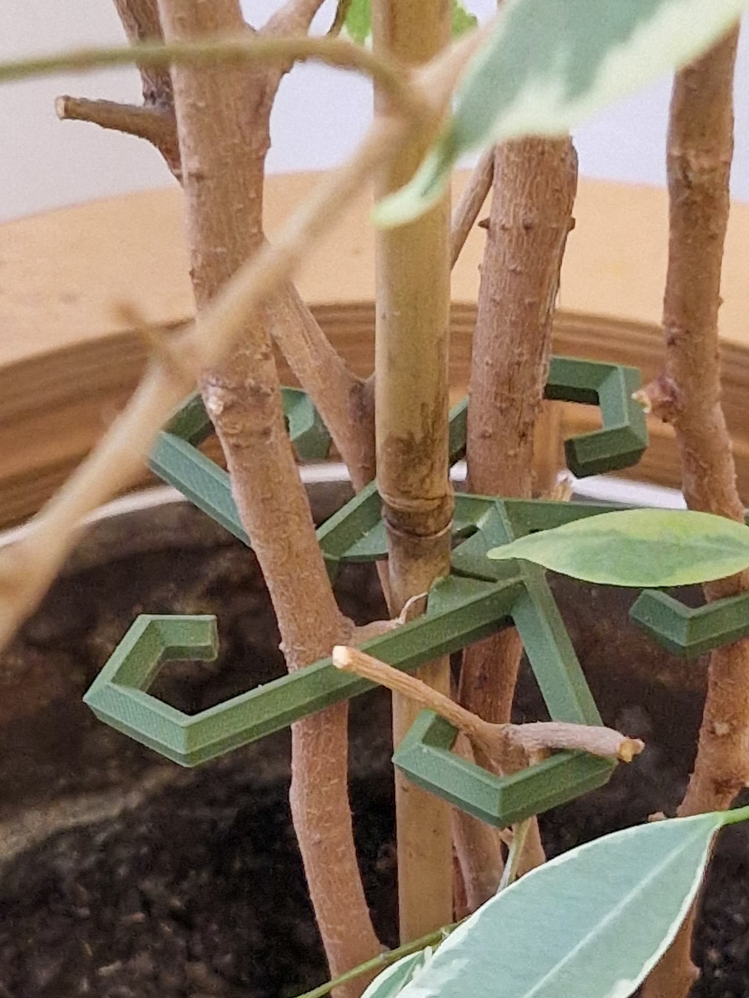 Clip De Cintrage De Plantes - VGEBY - Cintreuse à 90 Degrés