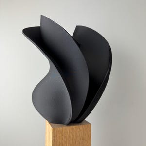 Jarrón de diseño escultórico: pieza central única para decoración de interiores y arreglos florales.