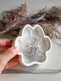 Pet remembrance box, Paw keepsake jar, Dog memory shadow box, Cat hair memorial, Forever friend, Unique keepsake product logo