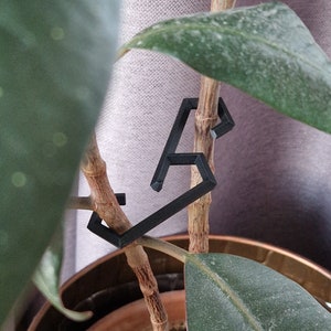 Colorful Plant Stake and Stem Support for Alocasia, Monstera & Philodendron, Decorative Hooks, Climbing Houseplant Holder, Stabilizing Hooks
