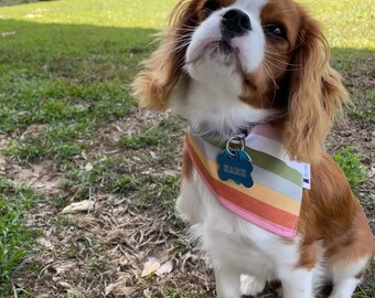 Striped dog bandana, dog bandanas, dog accessories, dog bandanas, adventure dog outfits, dog, dogs, colorful dog bandana, dogs, retro