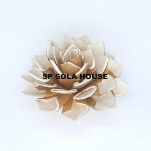 100 Dahlia Sola Wood Flowers: Natural White & Brown, 6-8cm