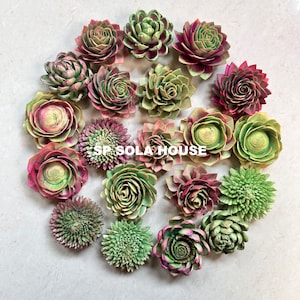 20 Sola-Holz-Sukkulenten, Sola-Holzblumen, Sola-Sukkulenten, Sukkulenten, Airbrush-Sukkulenten, Hochzeitsdekoration, DIY-Blumen, Sola-Blumengeschenk