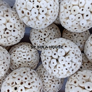 Set di giocattoli Sola Atta per uccelli, pappagalli, cincillà, 50 pezzi e 100 pezzi