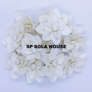 100 sola-houtbloemen: gardenia-stijl, natuurlijk wit, doe-het-zelfdecoratie