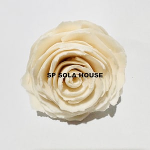100 Helena Sola Wood Flowers: Natural White Begonia, DIY Decor (4cm-8cm)